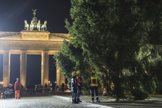 THW volunteers set up the Christmas tree delivered from Thuringia in front of the Brandenburg Gate,