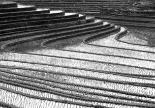 Terrace rice paddies north of Antosari, Bali, Indonesia