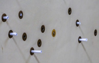 Interior photos in St. Salvator Cathedral in Fulda, officially High Cathedral in Fulda, center of