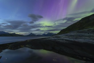 Northern lights at dawn over Sørfolda Fjord near Kjerringøy between Bodø and Sørfold in Norway