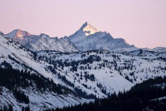 Summit of Grossglockner at sunset in winter, Hochbrixen, Brixen im Thale, Tyrol, Austria