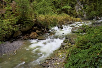 Diosaz mountain river in the gorge, Gorges de la Diosaz, Les Houches, Chamonix-Mont-Blanc,