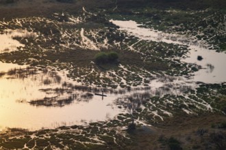 Marshland, marshland, Kavango fishermen with dugout boat, Mokoro, aerial view, Okavango Delta,