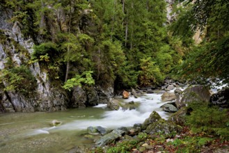 Diosaz mountain river in the gorge, Gorges de la Diosaz, Les Houches, Chamonix-Mont-Blanc,