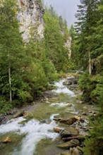 Diosaz mountain river in the gorge, Gorges de la Diosaz, Les Houches, Chamonix-Mont-Blanc,