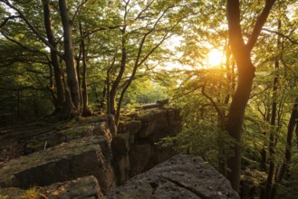 A picturesque sunset bathes the forest and rocky cliffs of the Kanstein in golden light, Thüster