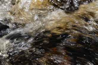 Stream flow with dark water, reflections and turbulences, long exposure, Sweden