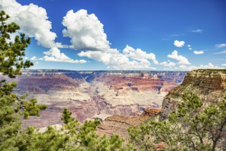 Beautiful landscape of the grand canyon, arizona