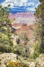 Beautiful landscape of the grand canyon, arizona