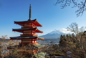 Five-story pagoda of a Shinto Shrine, Chureito Pagoda, with views of Fujiyoshida City and Mount