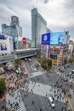 Modern houses with colorful neon signs and large road intersection, Shibuya Crossing from above,