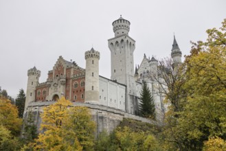 Neuschwanstein in autumn, Schwangau, Füssen, Allgäu, Bavaria, Germany