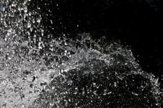 Water bell fountain in the spa garden, detail, Bad Homburg vor der Höhe, Hesse, Germany