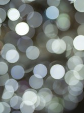 Soft, unfocused lights creating a dreamy, festive bokeh effect, ideal for backgrounds and holiday
