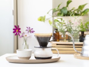 Brewing pour over coffee with a modern kettle, paper filter, and glass carafe, with plants and
