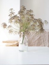 Minimalist composition featuring dried dill flowers in a glass bottle, placed on a white table,