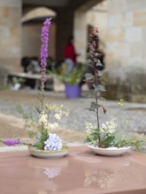 Two beautiful ikebana arrangements stand on a shiny table, reflecting their vibrant colors and