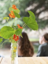 Orange nasturtium flowers arranged in a glass jar during an ikebana workshop, bringing nature's