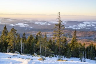 View from Mount Lusen over the hills of the bavarian forest at sunrise in winter, Bavaria, Germany