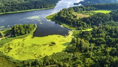 Green algae on the lake. Aerial view of nature, landscape with hills and forest in summer, cloudy