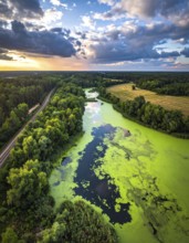 Green algae on the lake. Aerial view of nature, landscape with hills and forest in summer, cloudy