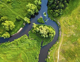 Ecology and environment concept. Green wilderness nature from above. Aerial view on meandering