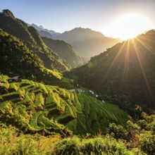 Early morning light bathes Philippines rice terraces cascading down mountain slopes, beautiful