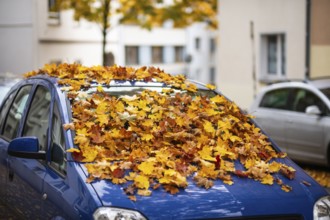 A car is covered with a thick layer of autumn leaves in autumn, Wuppertal, Germany