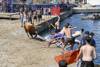 Bous a la Mar Fair, in English Bulls in the Sea, Bullfighting, Javea or Xàbia, Alicante Province,