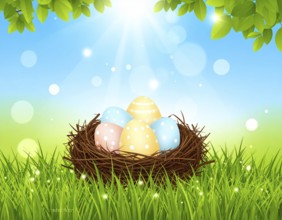 Nest with easter eggs in grass on a sunny spring day, Easter wallpaper decoration drawing, banner,