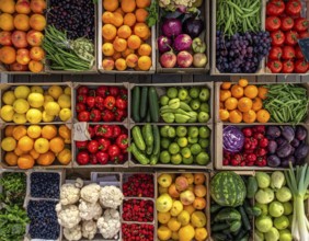 Fresh fruits and vegetables in a market display, aerial view perpendicular top down, healthy eating