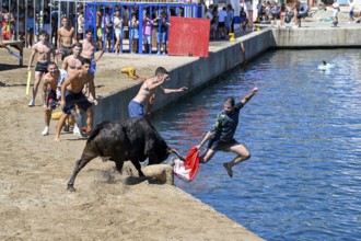 Bous a la Mar Fair, in English Bulls in the Sea, Bullfighting, Javea or Xàbia, Alicante Province,
