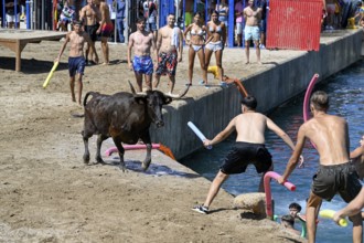 Bous a la Mar Fair, in English Bulls in the Sea, Bullfighting, Javea or Xàbia, Alicante Province,