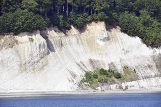 Chalk coast at Jasmund National Park on Rügen, Mecklenburg-Western Pomerania, Germany