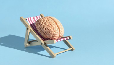 Brain relaxes on a sunbed under the summer sun, placed on a flat surface, symbol for mental health,