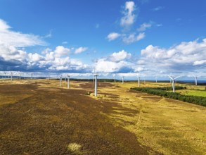 Wind Farm from a drone in southeast Scotland, UK