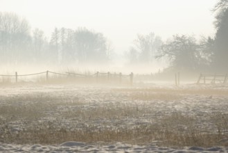 Winterlandschaft, aufsteigender Bodennebel im Licht der Morgensonne, Nordrhein-Westfalen,