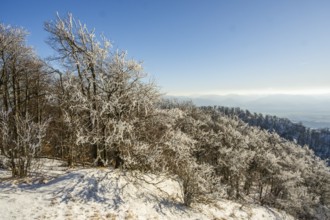View over the hills and valleys from the mountain with hoarfrost on the branches in winter, Vápec,