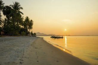 White sandy beach and coconut palms, sunset, Pearl Beach, Koh Mook, Trang Province, Southern