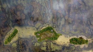 Aerial view, islands in the Drau, river, Carinthia, Austria