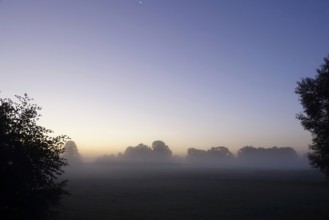 Landscape with morning fog, Summer, Saxony, Germany