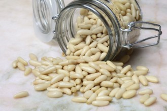 Pine nuts in glass containers, Pinus pinea