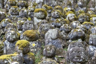Rakan statues at Otagi Nenbutsuji Temple, stone, moss-covered, Ukyo-ku, Kyoto, Kyoto Prefecture,