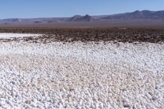 Coloured salt formations at the Lagunas Escondidas de Baltinache, Atacama Desert, Toconao, San