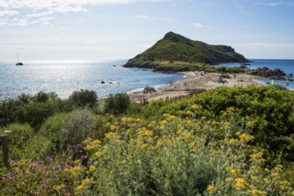 Wild beach, Sentier du littoral, Plage Ranc, Cap Taillat, Saint Tropez, Var, French Riviera,