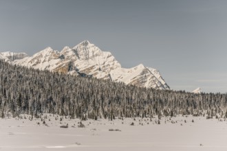 Winter road trip on the Icefields Parkway with lots of snow and ice, Banff National Park, Jasper