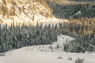 Winter road trip on the Icefields Parkway with lots of snow and ice, Banff National Park, Jasper