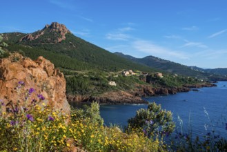 Picturesque coast and red rocks, near Anthéor, Saint-Raphaël, Massif de l'Esterel, Esterel