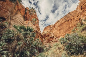 Bungle Bungles in Australia in the Outback, Australia
