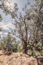 River and other waters in the outback in the north of Australia